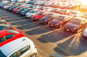 cars on a car lot